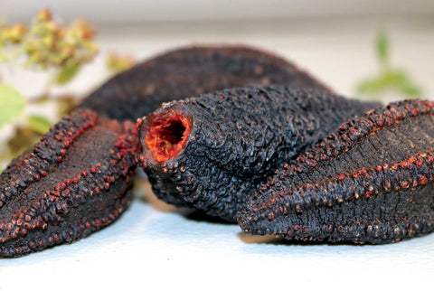 How to rehydrate Wild Arctic Sea Cucumber?
