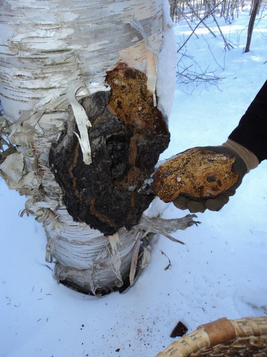 As COVID-19 spreading——Boost your immune system becomes more important