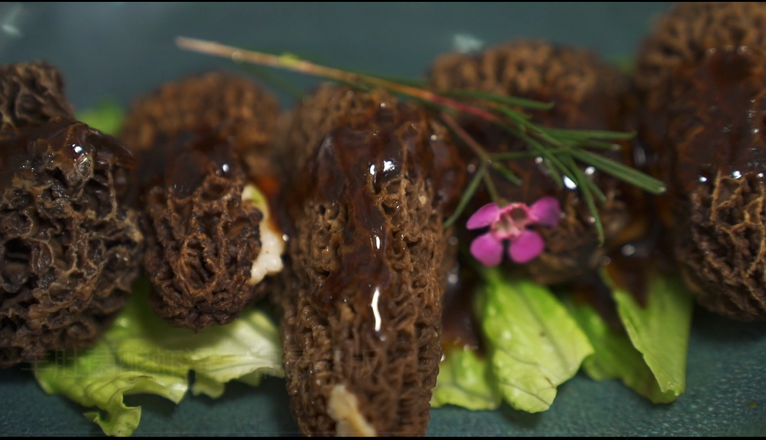 Morel Stuffed Shrimp Balls