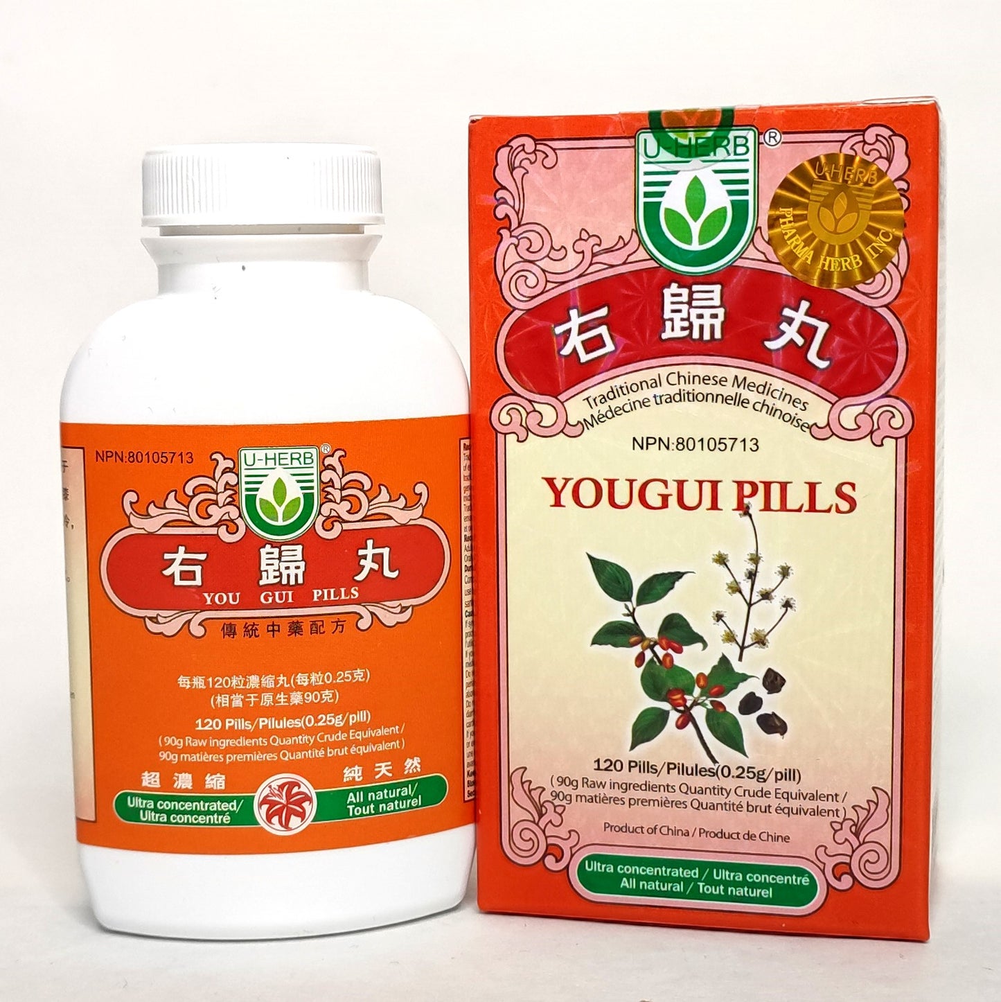 You Gui Wan - 右归丸