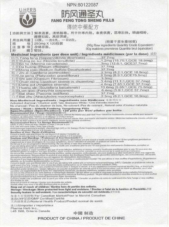 Fang Feng Tong Sheng Wan - 防风通圣丸