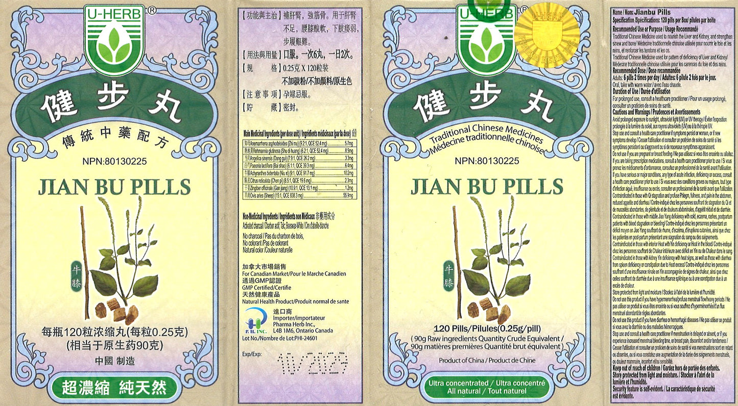 Jian Bu Wan - 健步丸