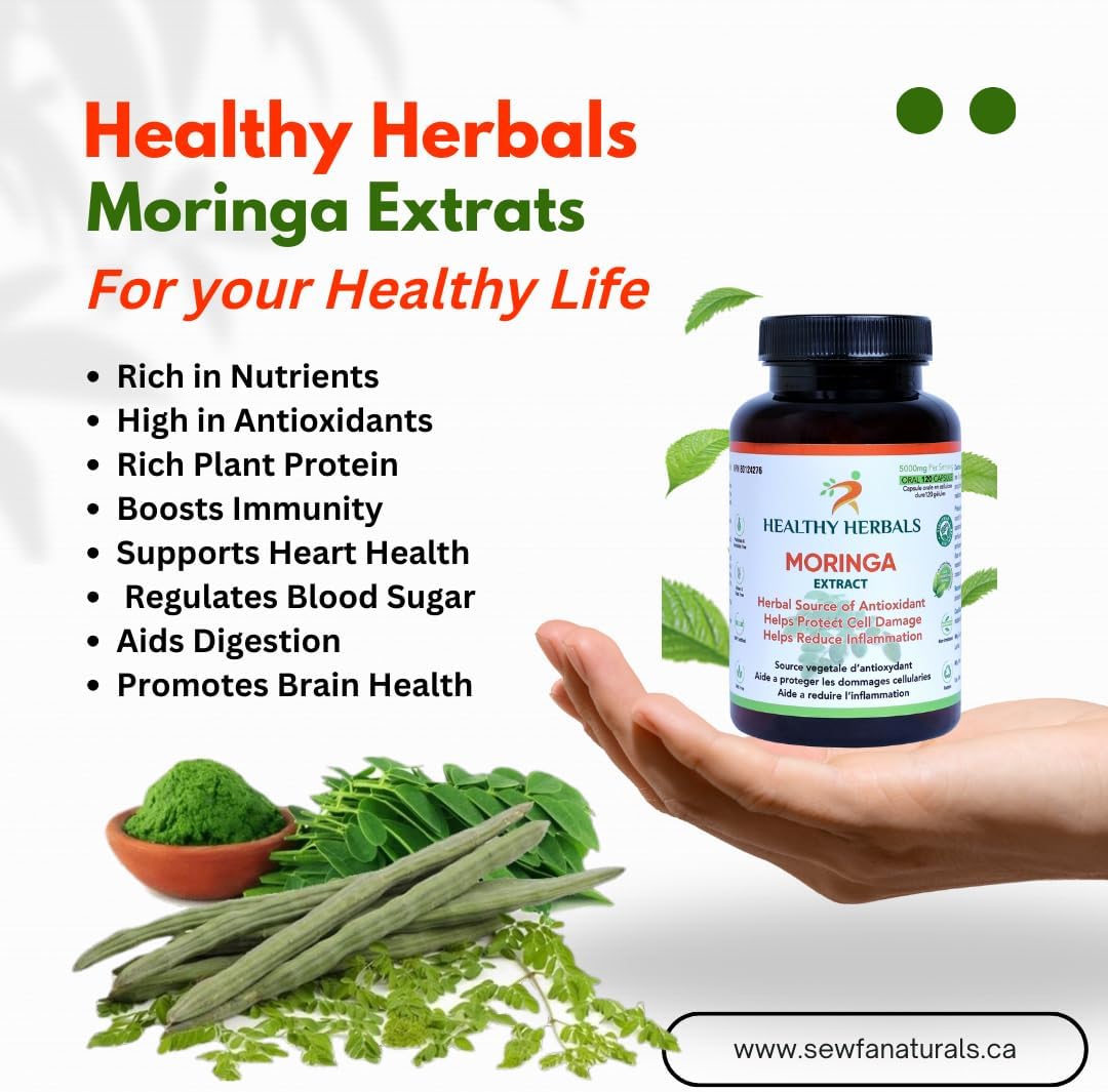 Moringa Capsules - 120 Vegan Capsules – Health Canada Licensed