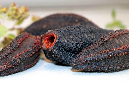 Wild Arctic dried sea cucumber