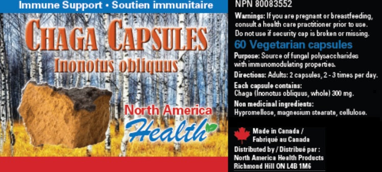 Chaga Capsules