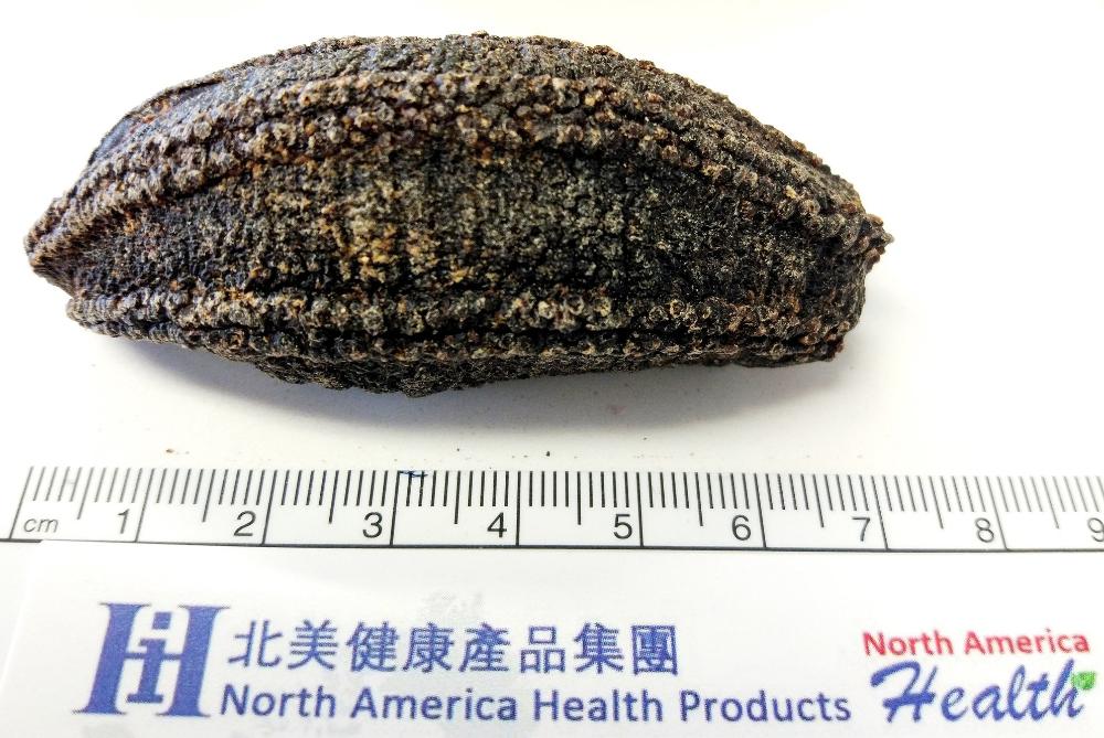 Wild Arctic dried sea cucumber