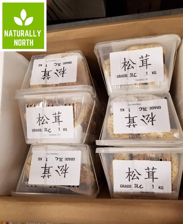 Canadian Fresh Pine (Matsutake) Mushrooms (1kg basket) Please call 6476560668