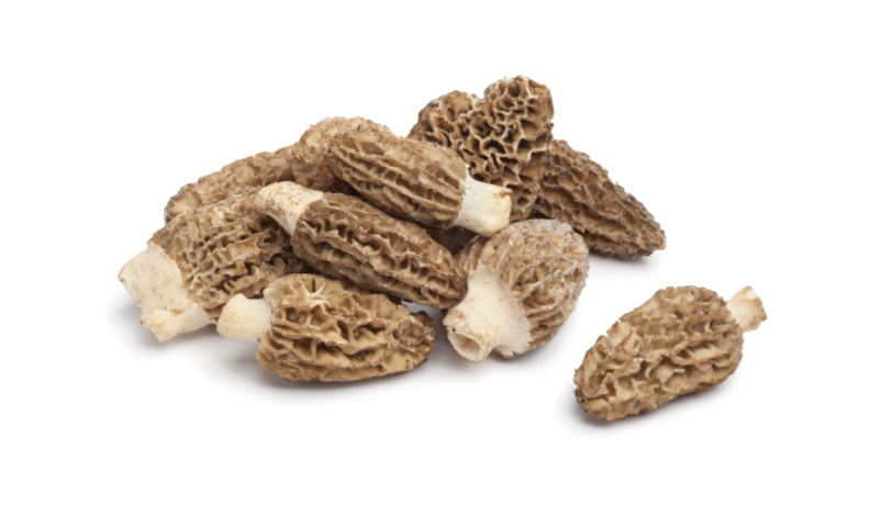 Fresh Wild Canadian Morel Mushrooms