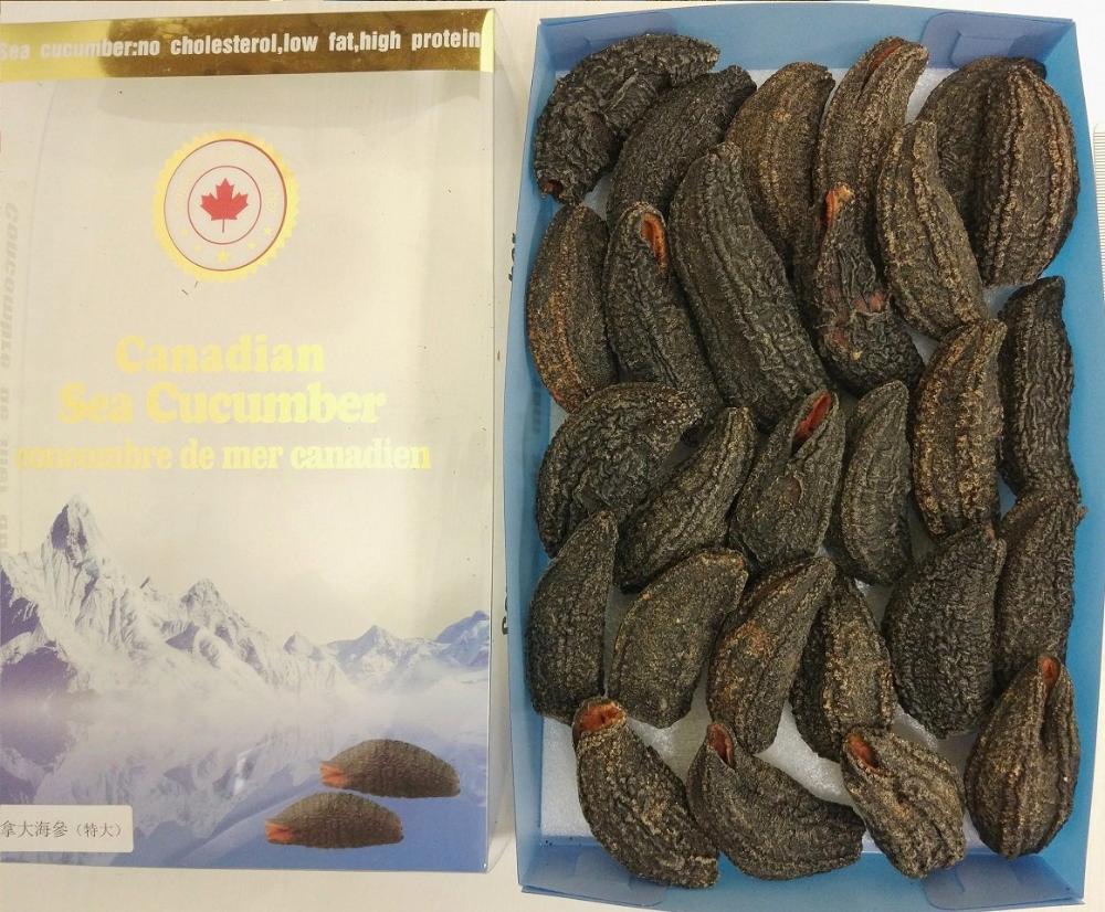 Wild Arctic dried sea cucumber