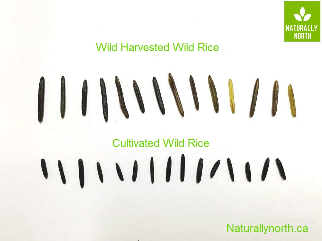 Canadian Wild Rice