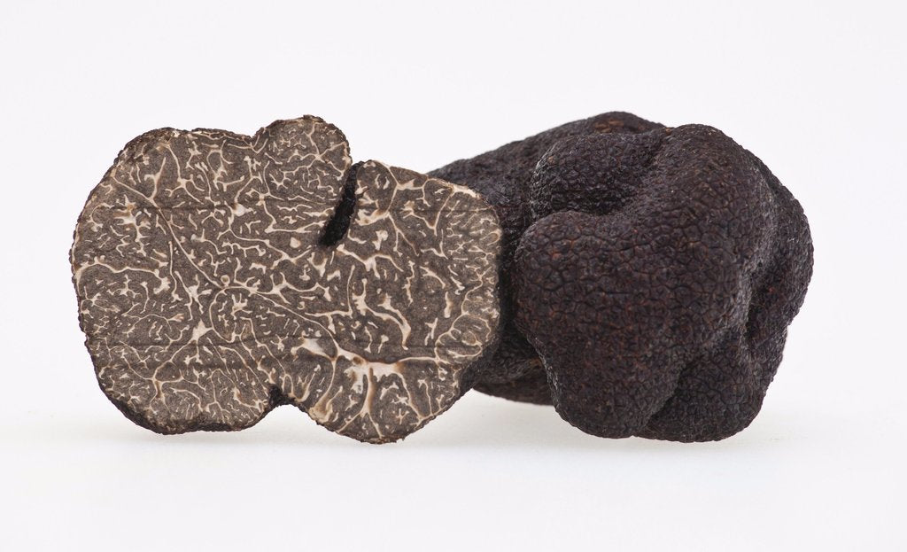 Fresh French Perigord Truffle