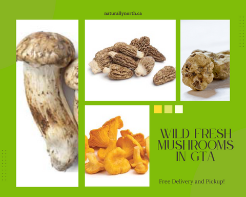 Enjoy Wild Fresh Mushrooms All-Year-Round! Wild Fresh Mushroom Timeline