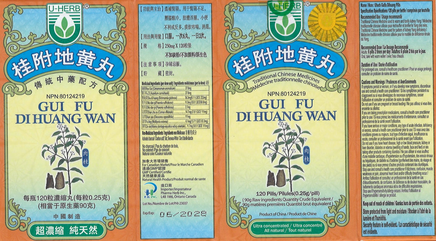 Gui Fu Di Huang Wan - 桂附地黄丸