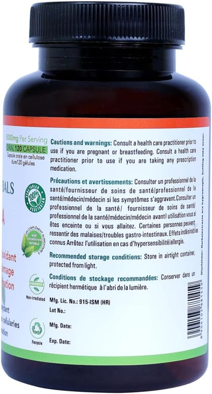 Moringa Capsules - 120 Vegan Capsules – Health Canada Licensed