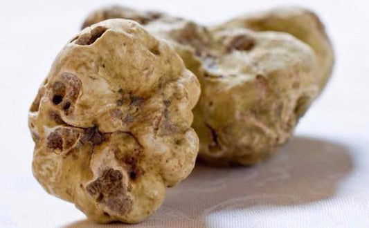 Italian White Alba Truffle