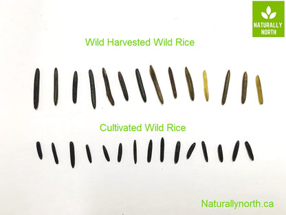 Canadian Wild Rice