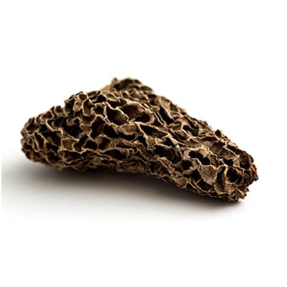 Dried wild Morel Mushroom